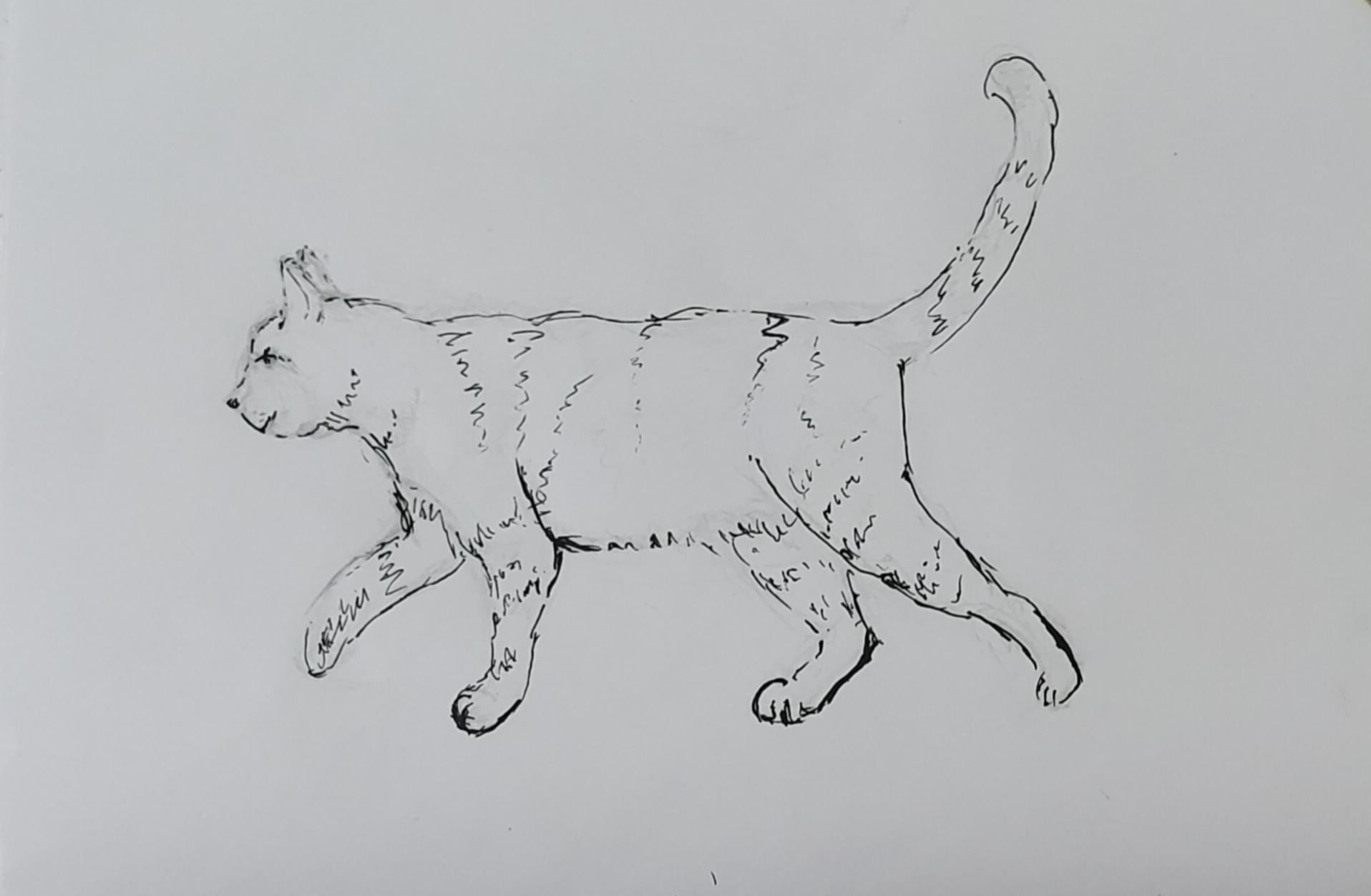 more-projects-from-class-img