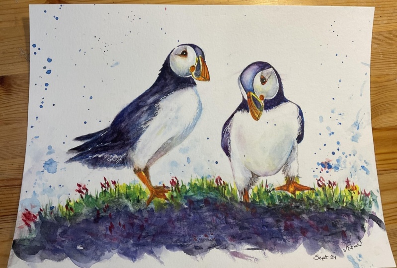Puffins