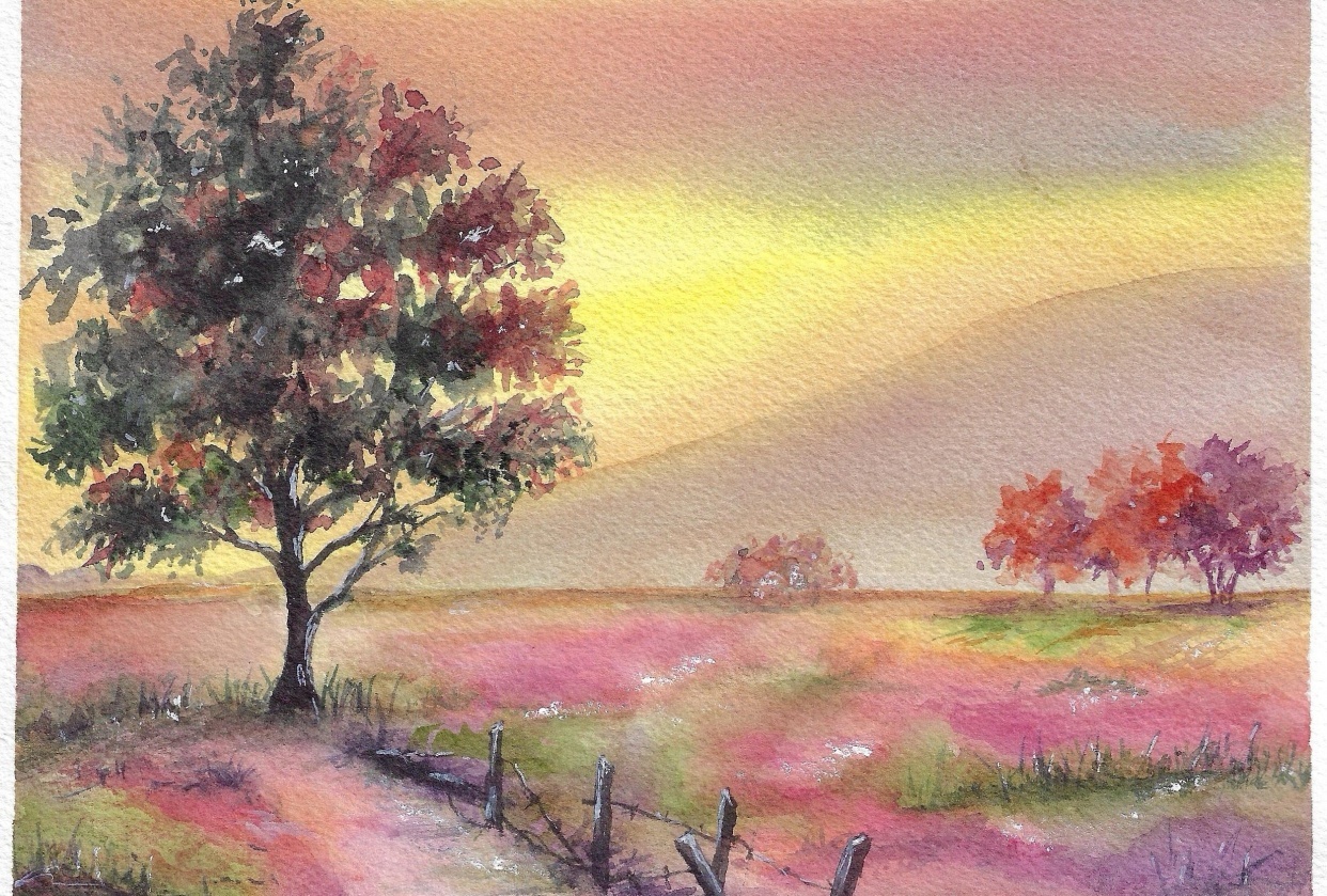 Sunset Landscape - student project