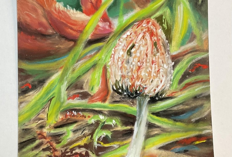 Pastel Mushroom