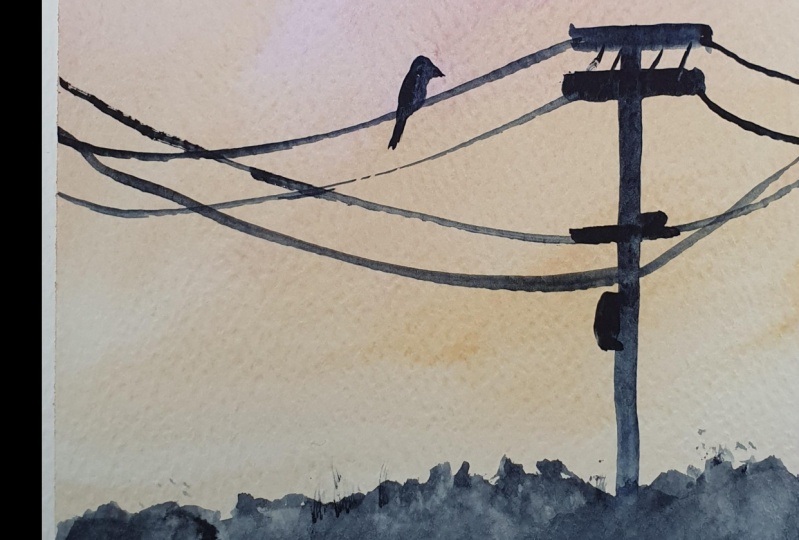 evening sky