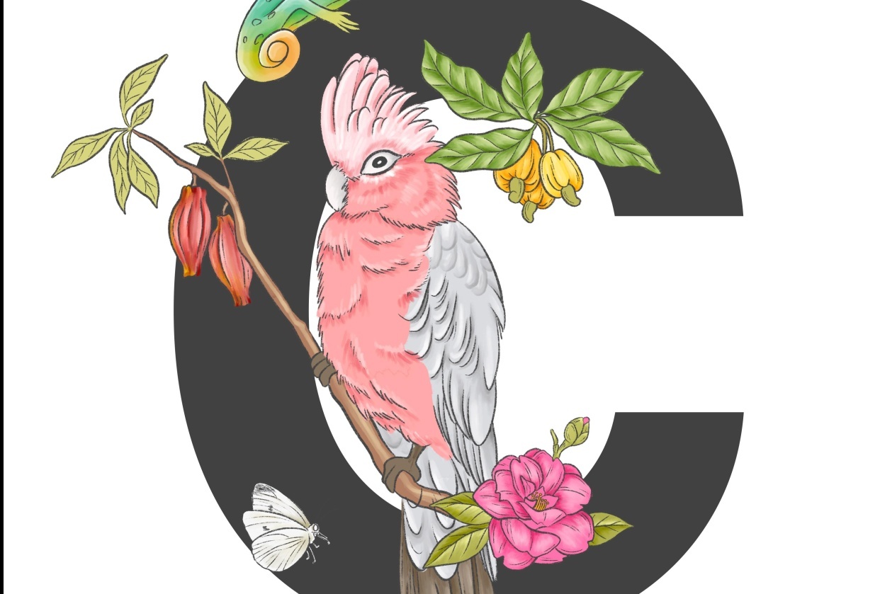 Tropical Alphabets In Procreate - student project