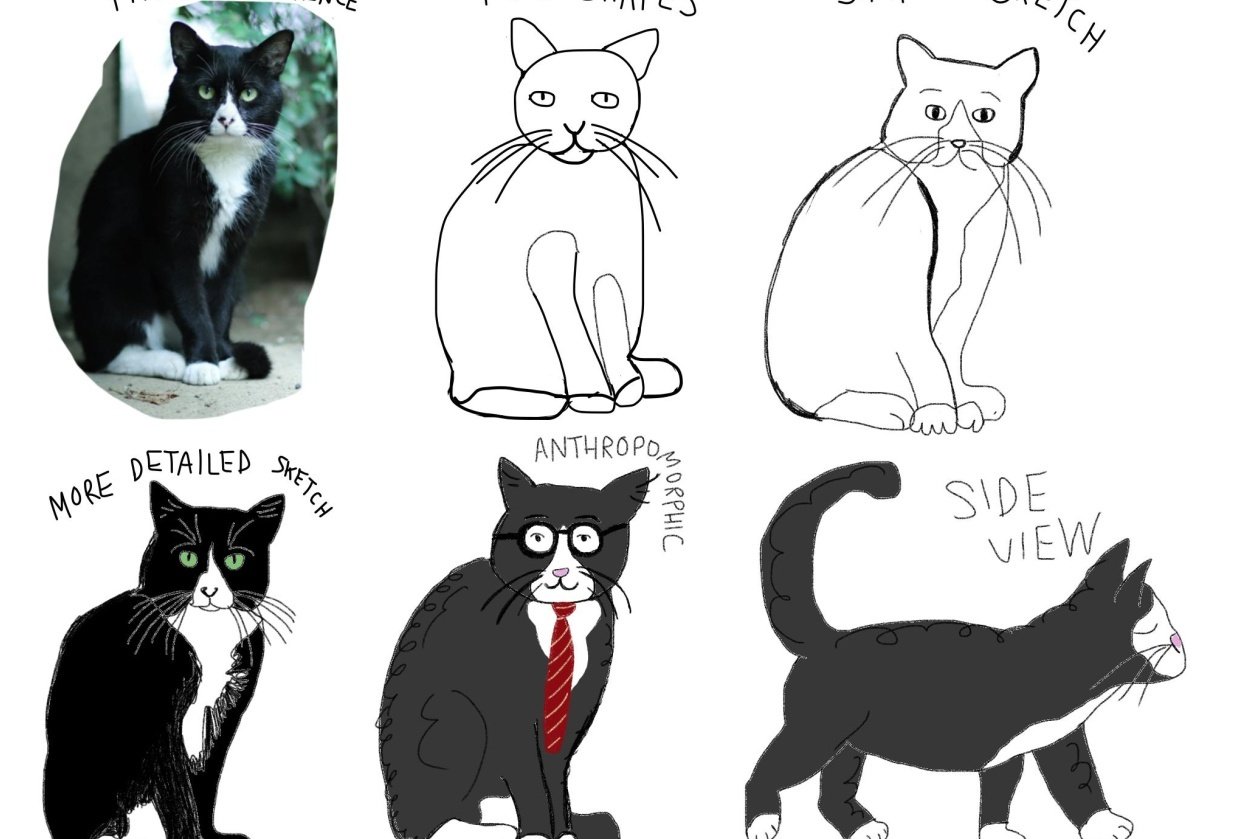 Cat sketches - student project