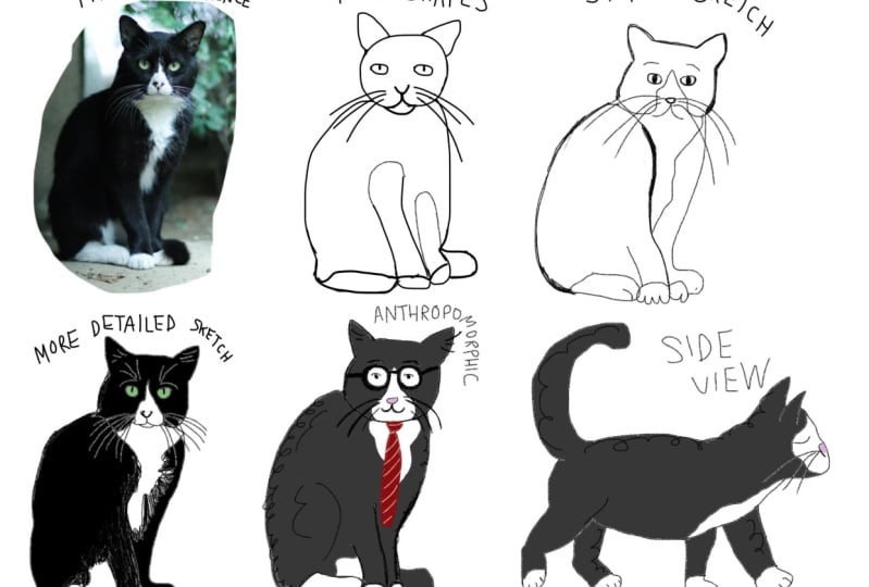 Cat sketches