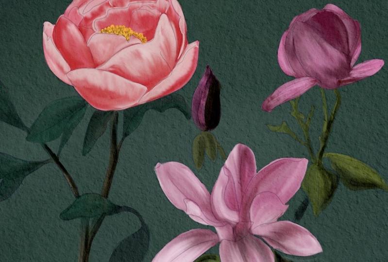Painting flowers with digital watercolor in procreate.