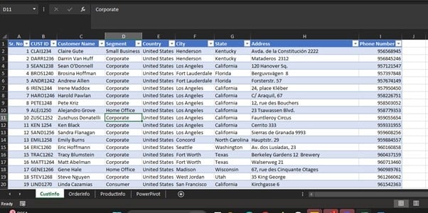 Creat Pivot with PowerPivot - student project
