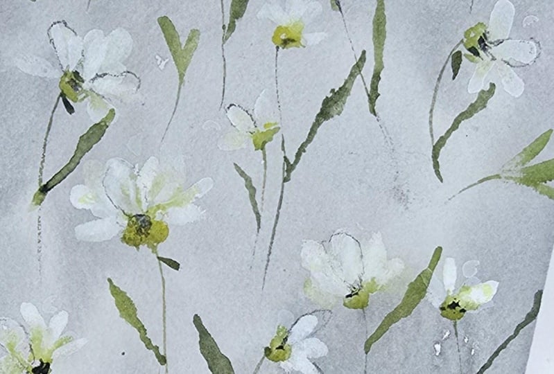 Relaxing daisies
