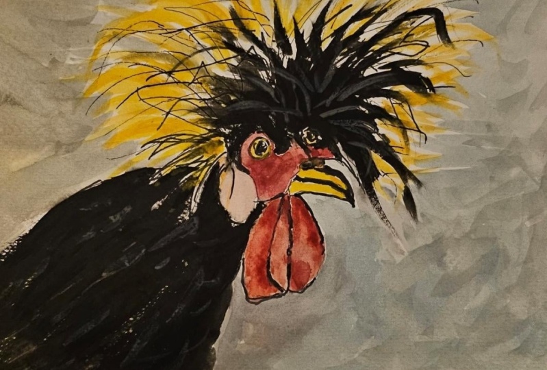 Fun with Chickens