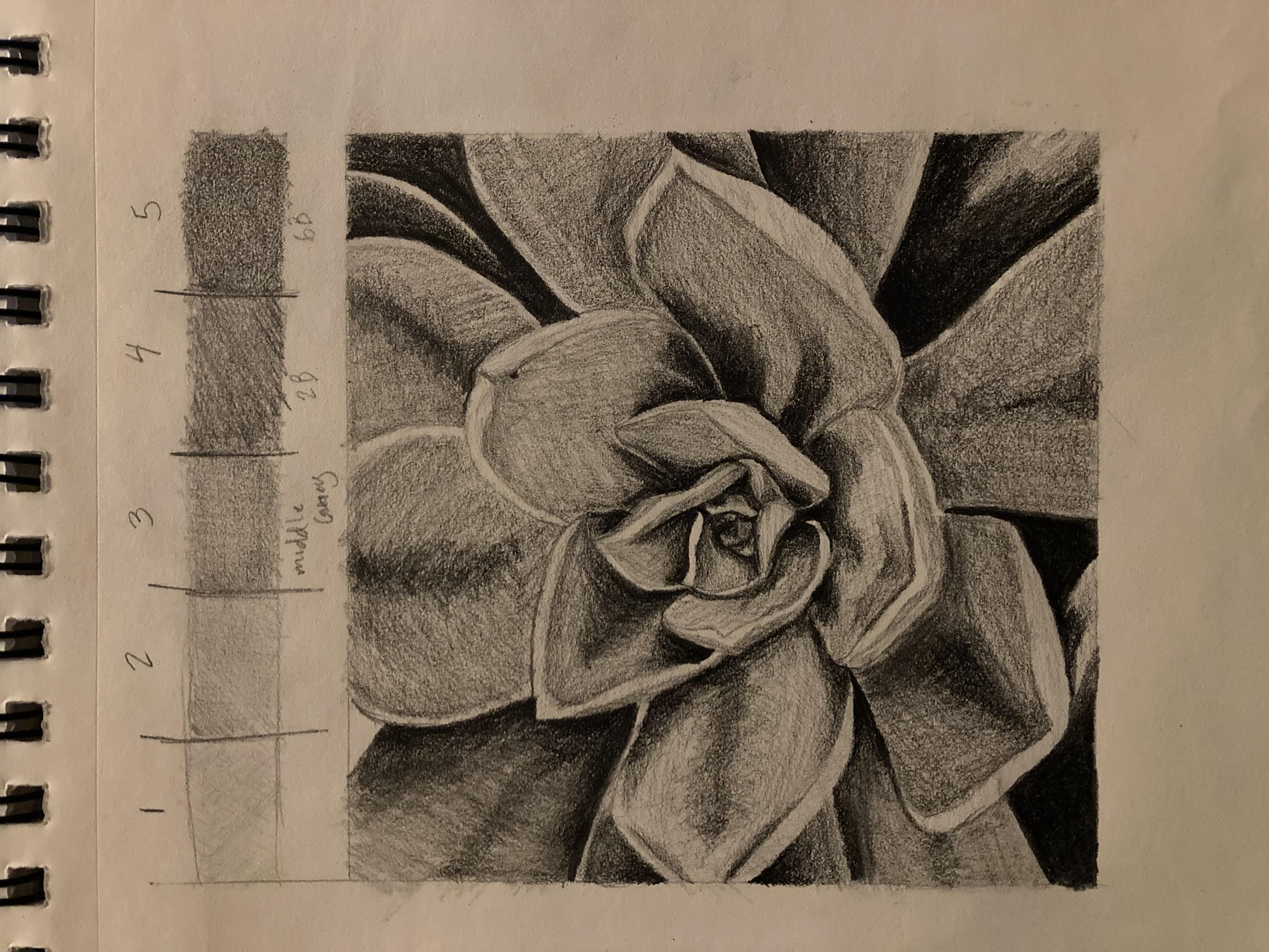1st Skill Share Project - student project