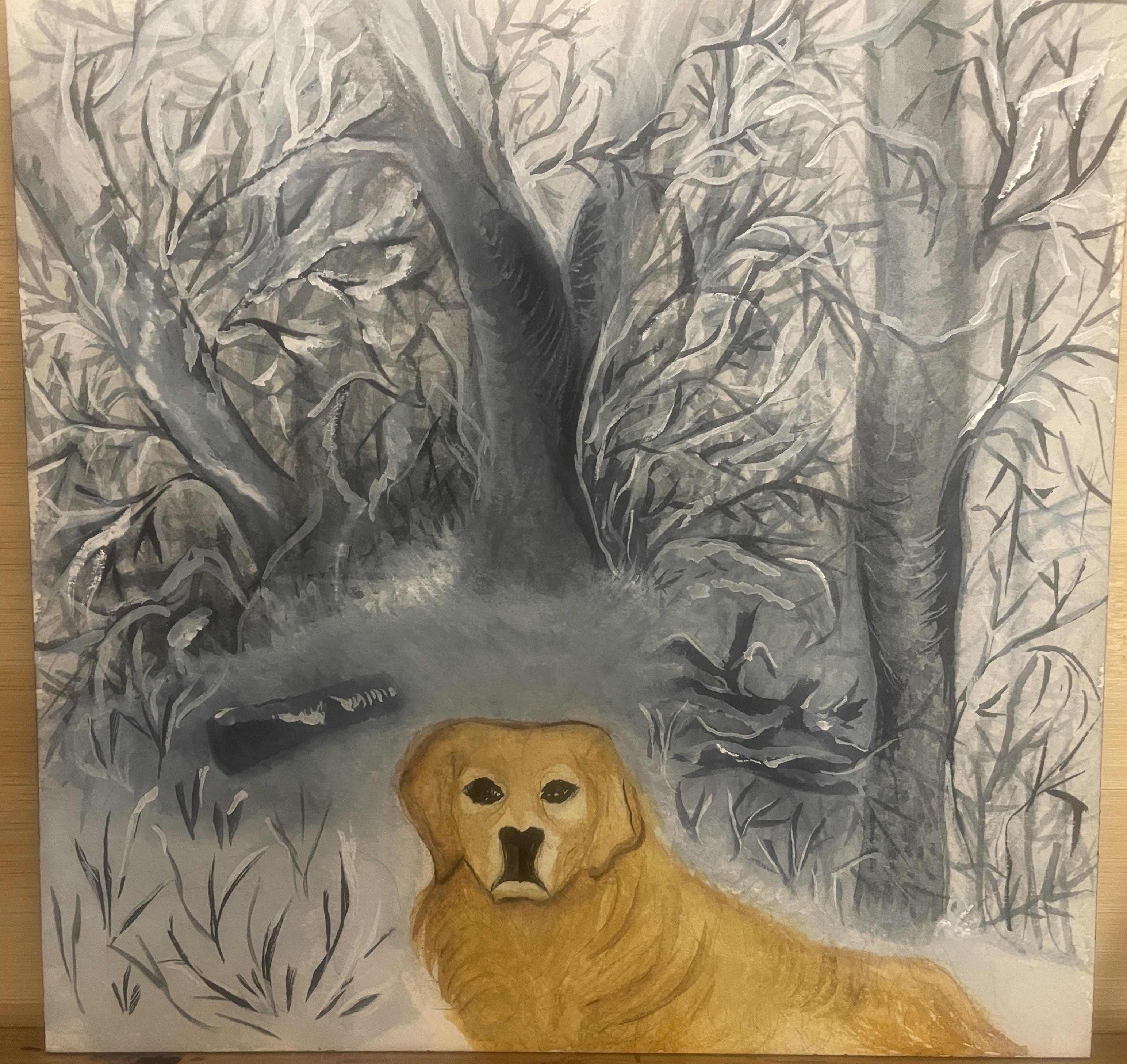 more-projects-from-class-img