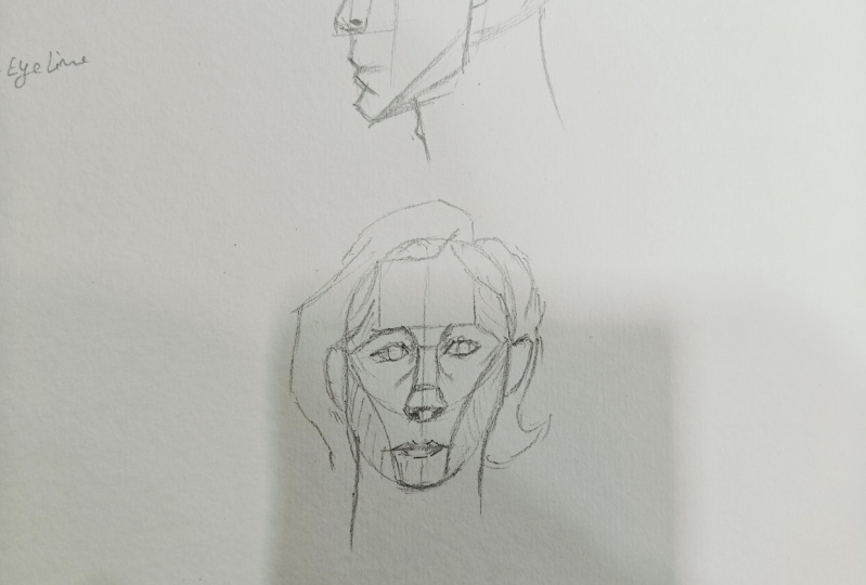Head study