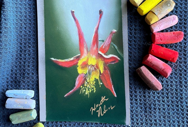 Red columbine