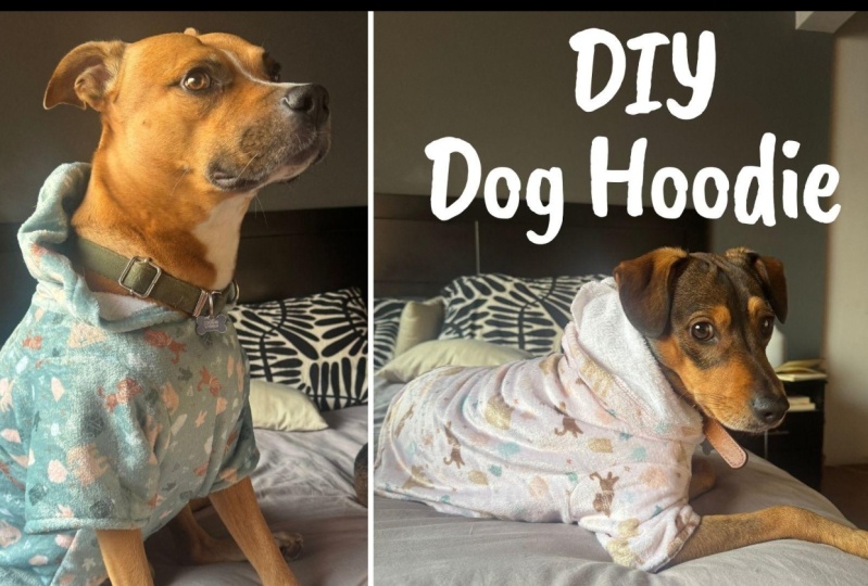 Custom Dog Hoodies!