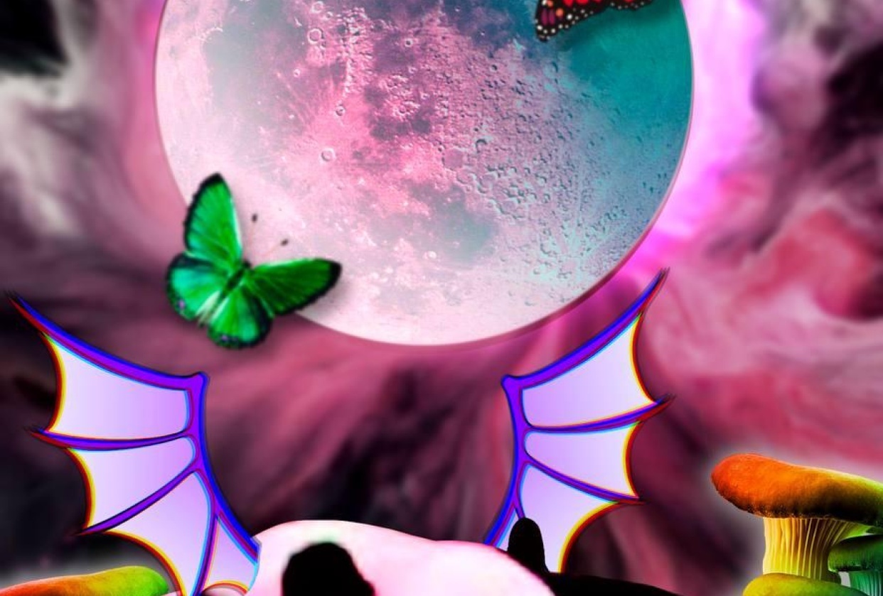 Trippy Panda - student project