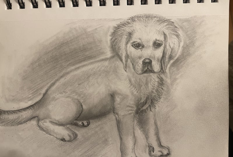 My dog when he was a pup