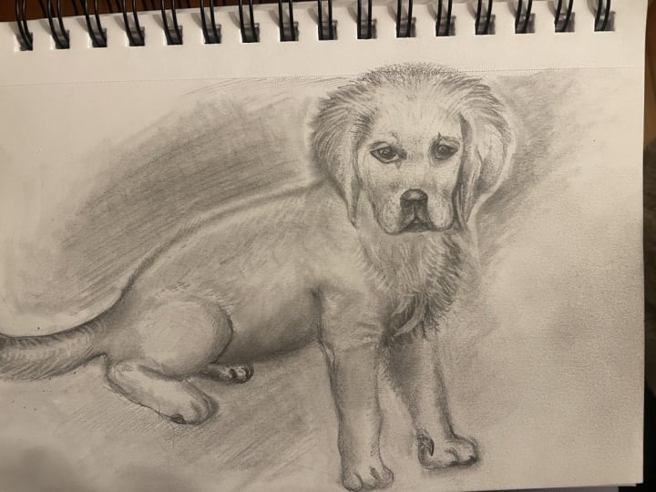 My dog when he was a pup