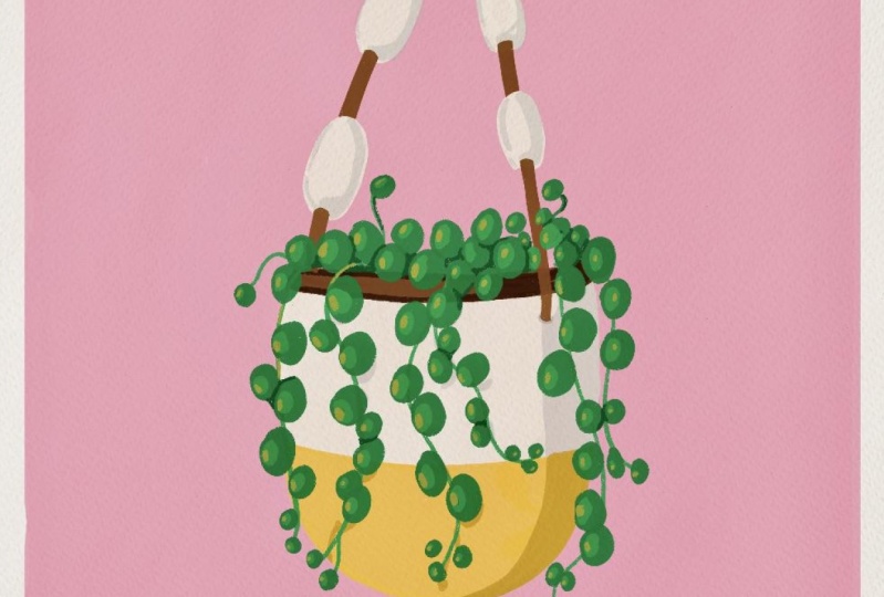 Stylized Houseplant