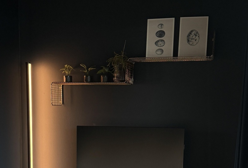 A Filmmaker’s Journey to Productivity (At Home)