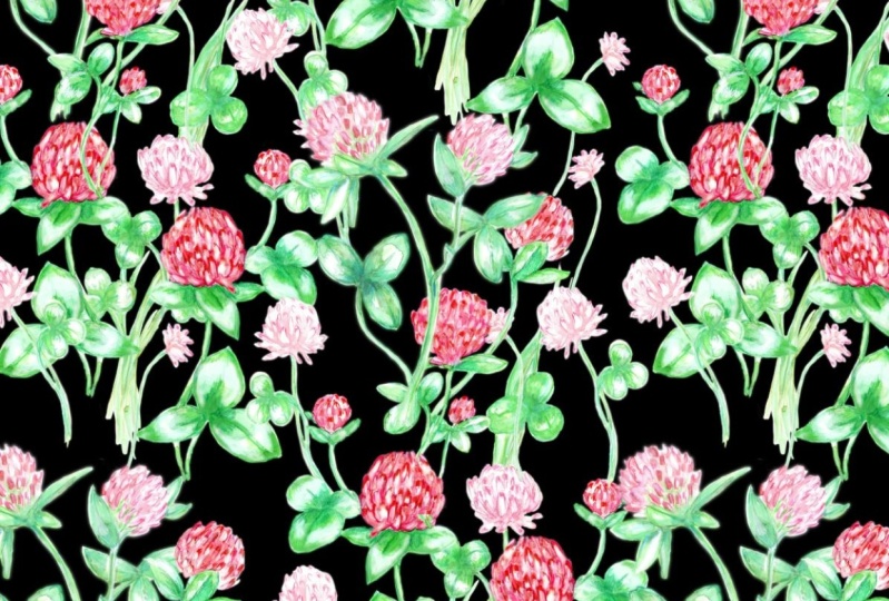 Clover