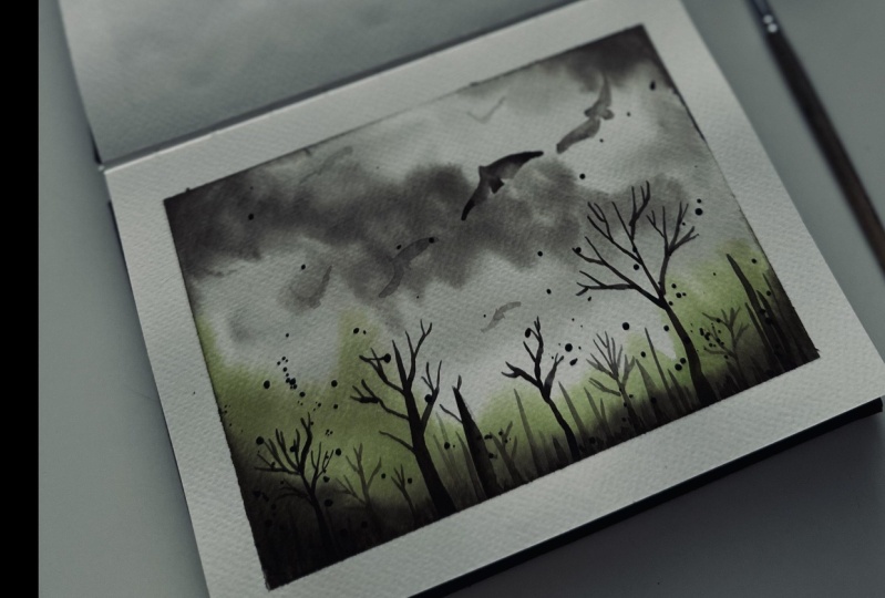 Misty forest
