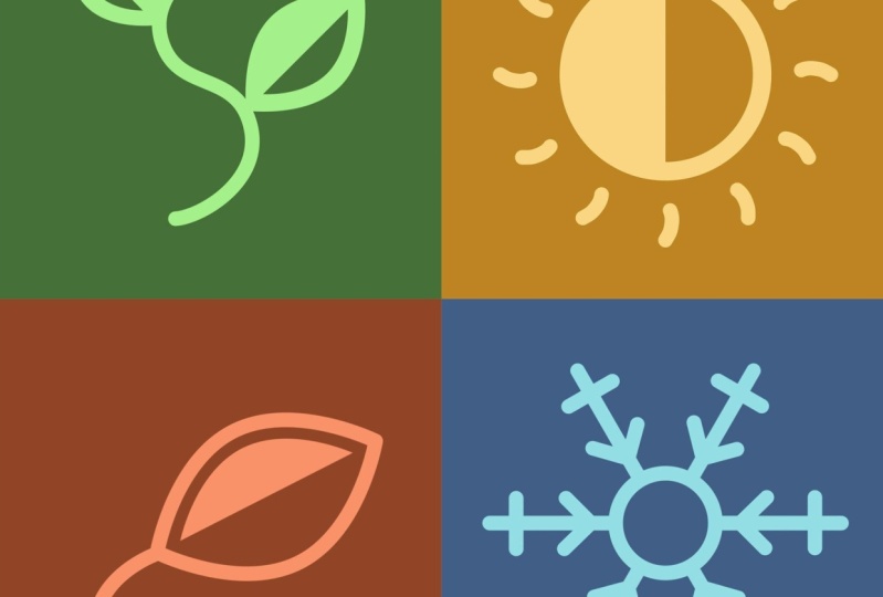 Seasons | After Effects Animation