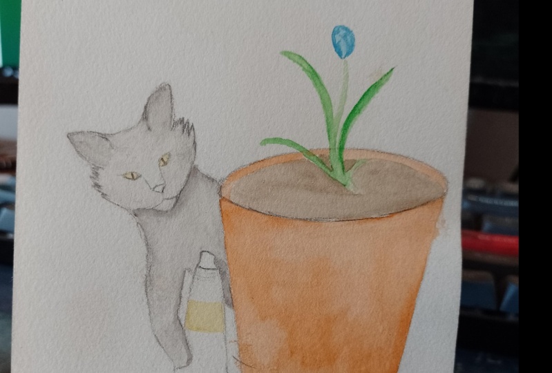 flowers and cat