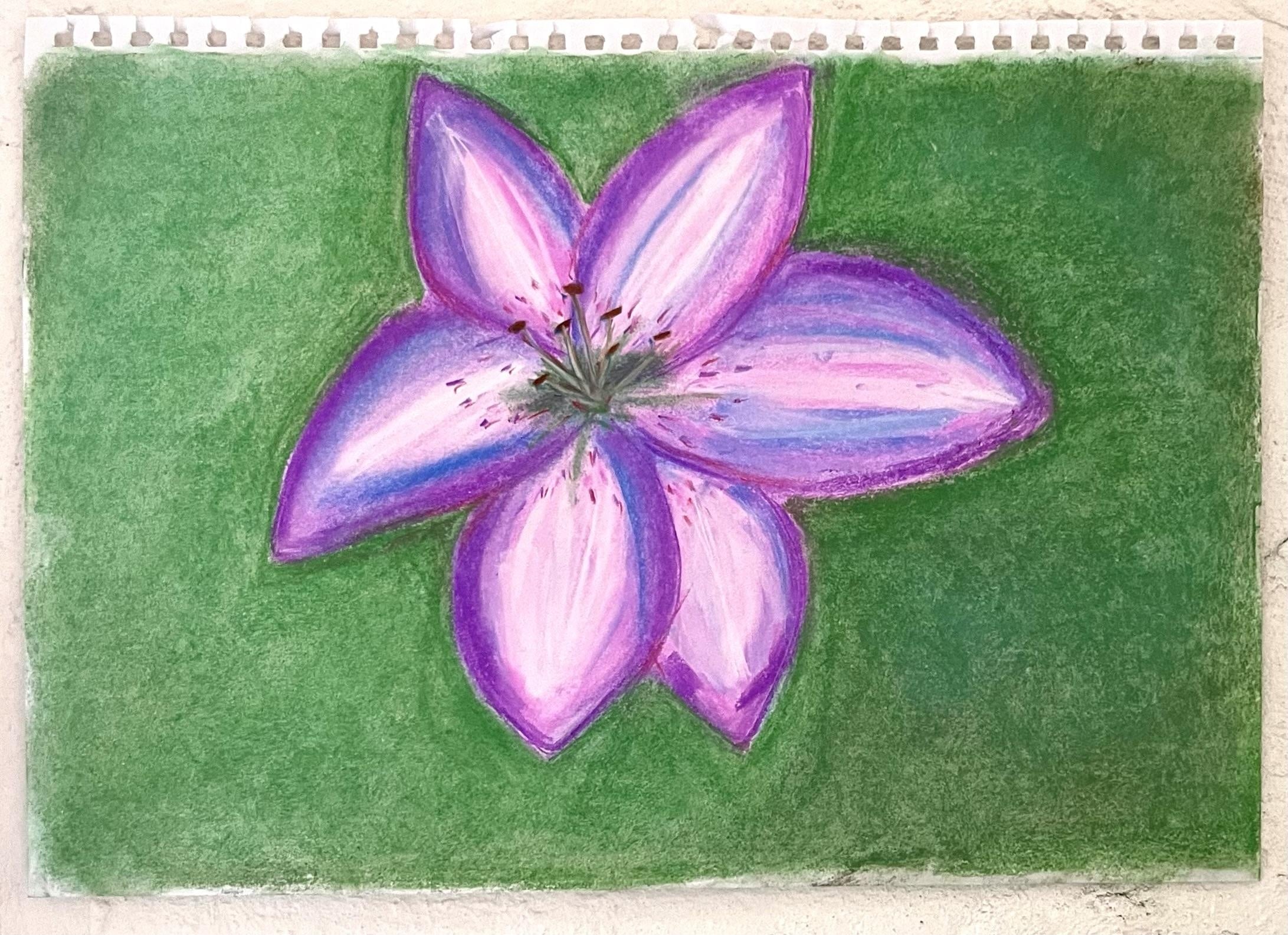 Pastel blends - student project