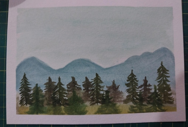 pine trees