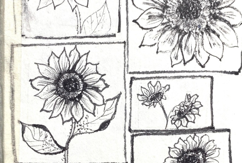 Sunflowers with dip pen