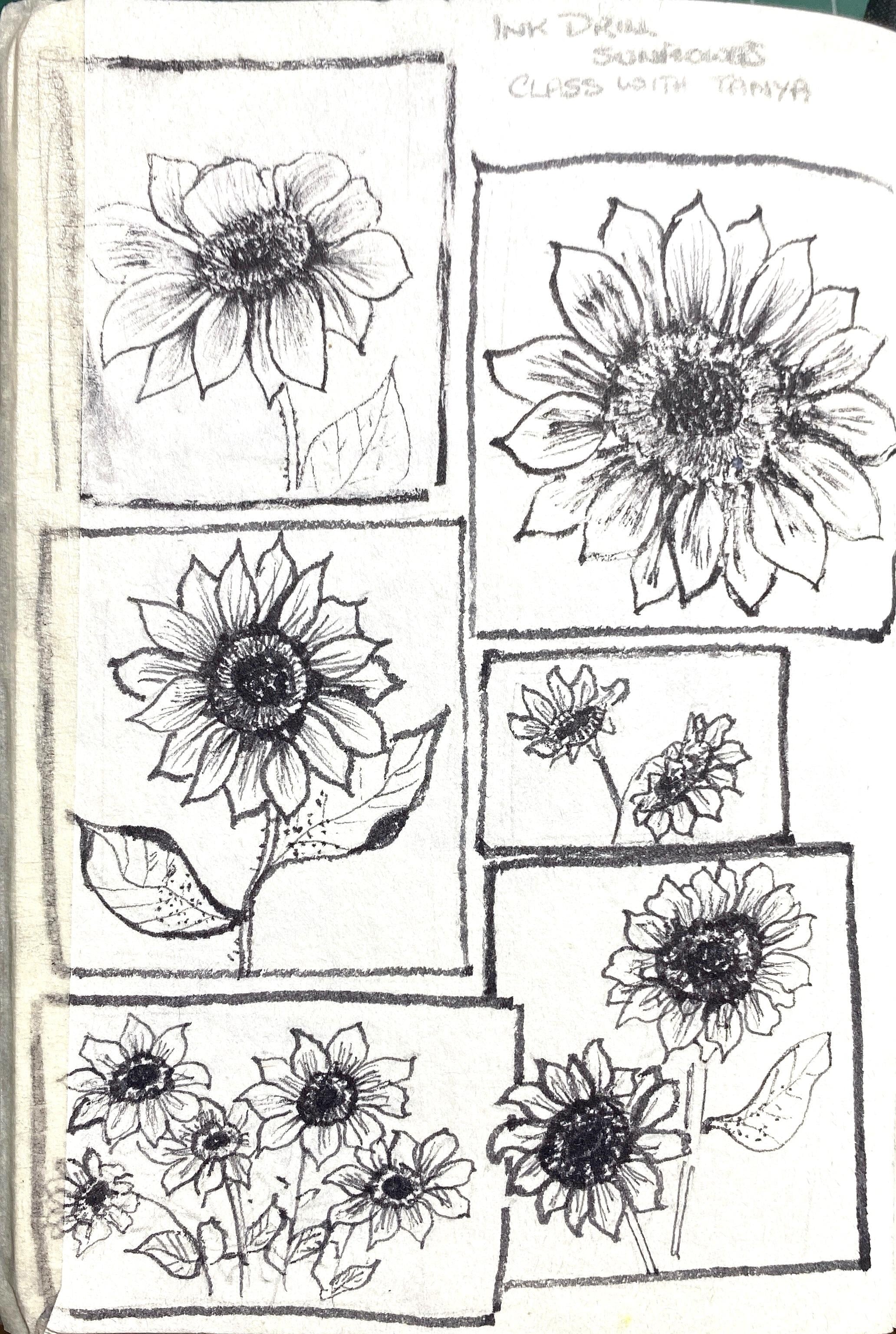 more-projects-from-class-img