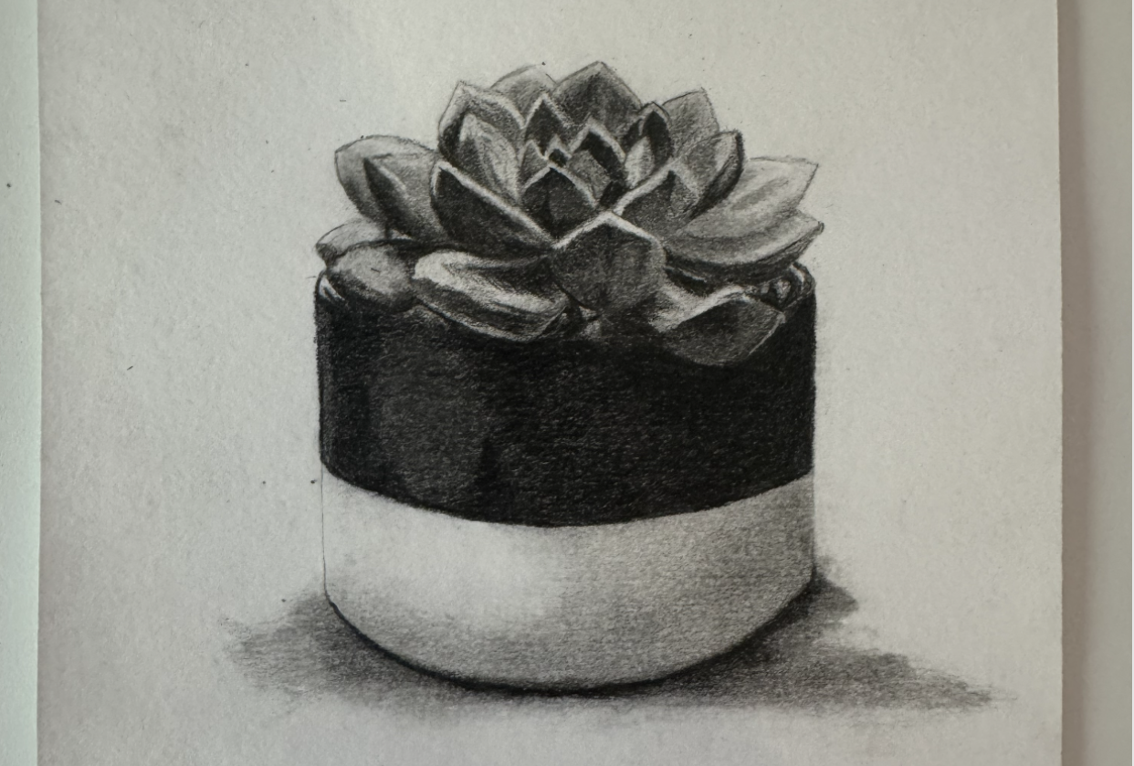 Graphite Succulent - student project