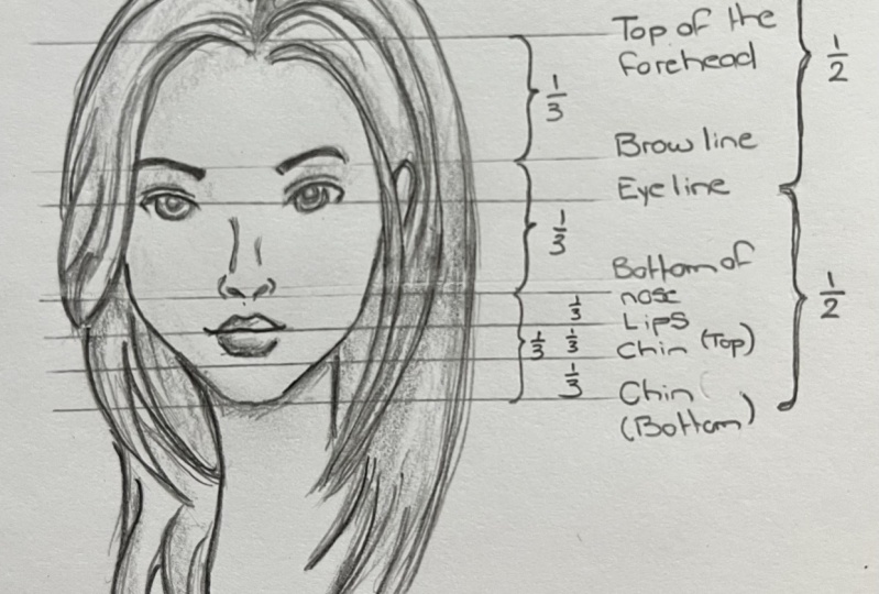 Facial Proportions