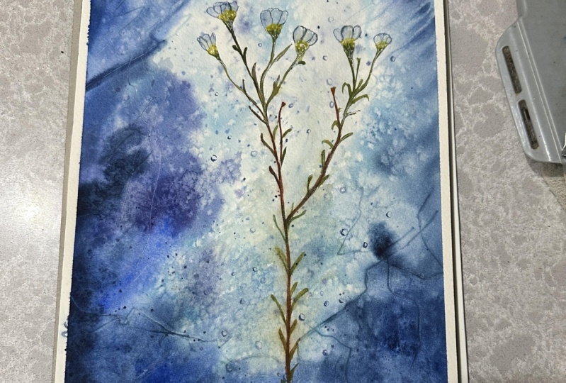 Transparency in watercolours unlocking depth luminosity nd textures