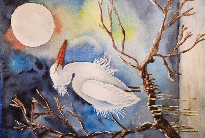 Heron in the moonlight