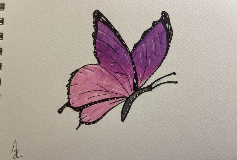 BUTTERFLY