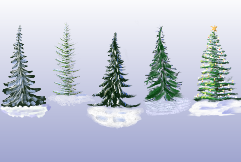 My 5 kinds of trees