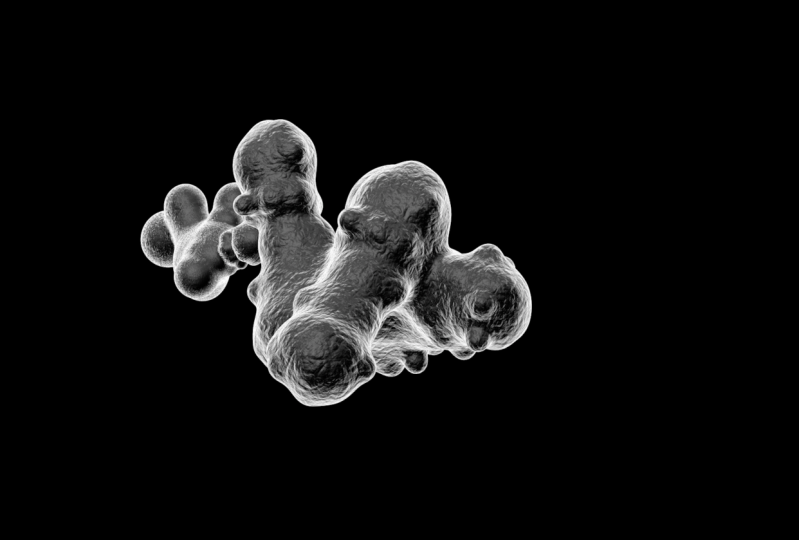 Micrograph trial