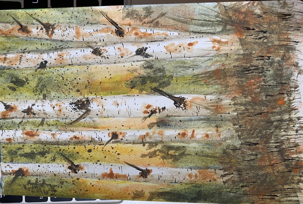 Birch tree practice - student project