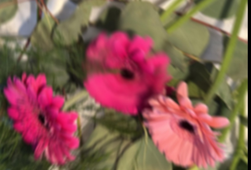 Daisies Blur