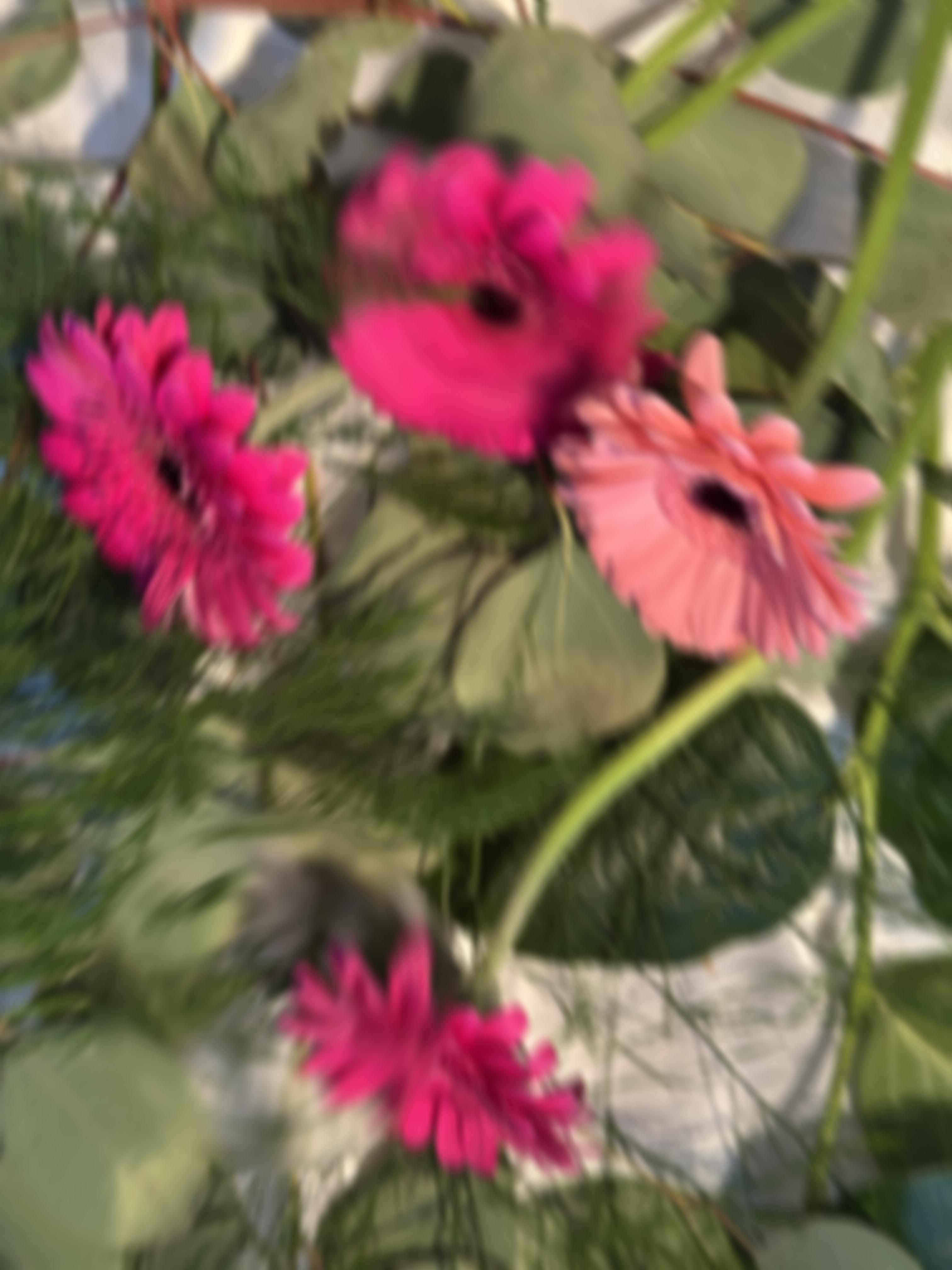 Daisies Blur - student project