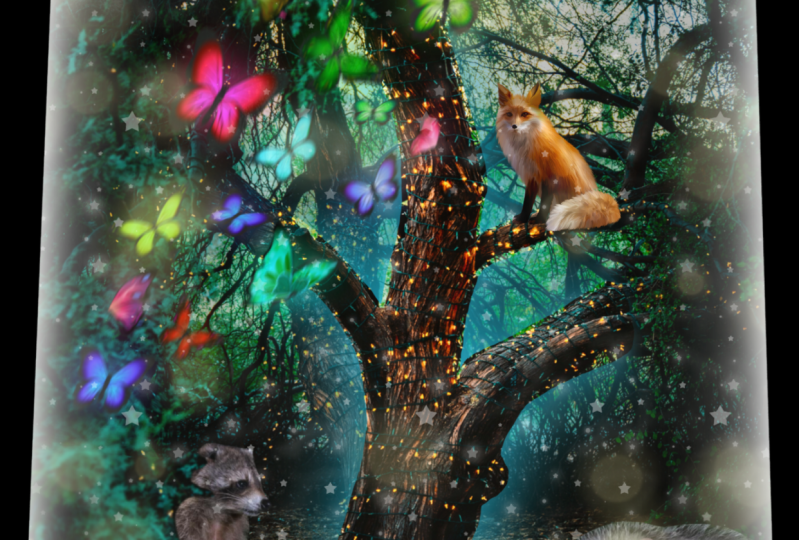Magical Forest
