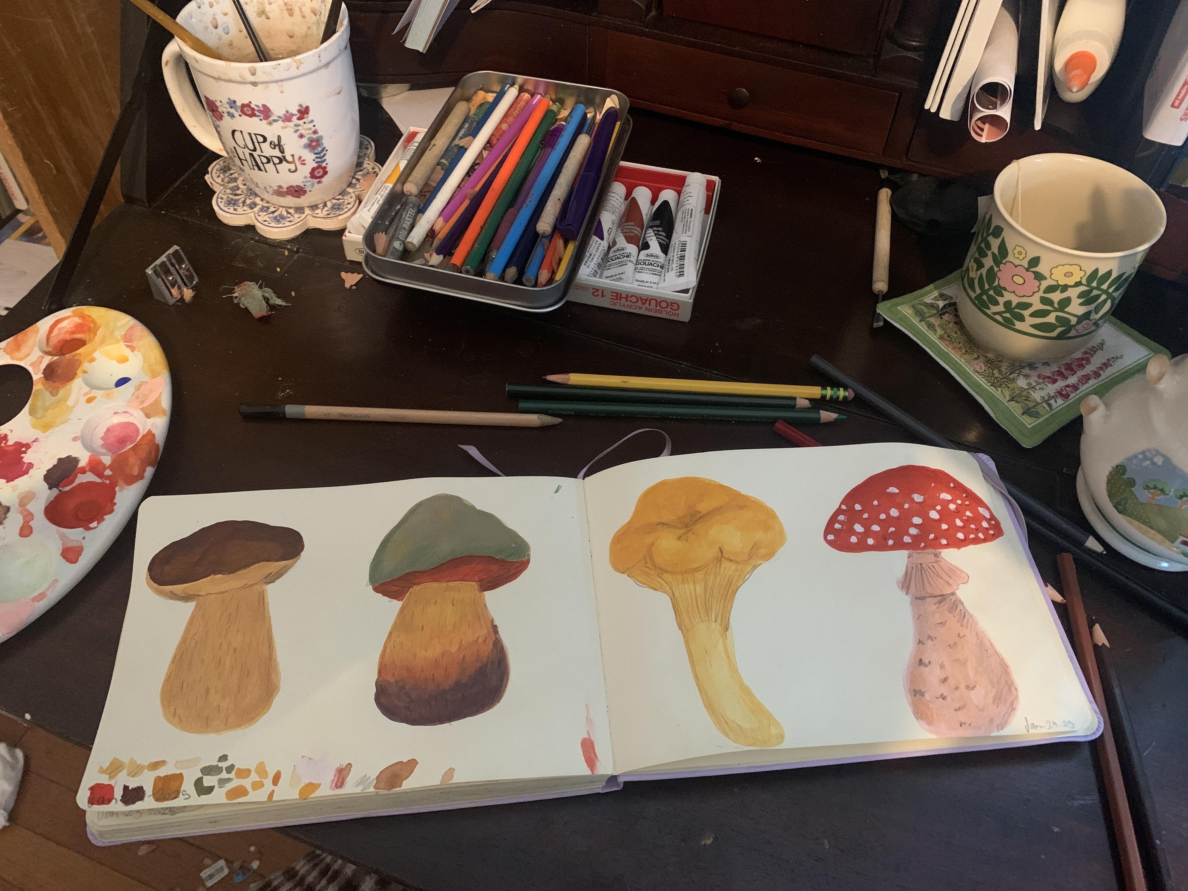 Mushrooms - student project