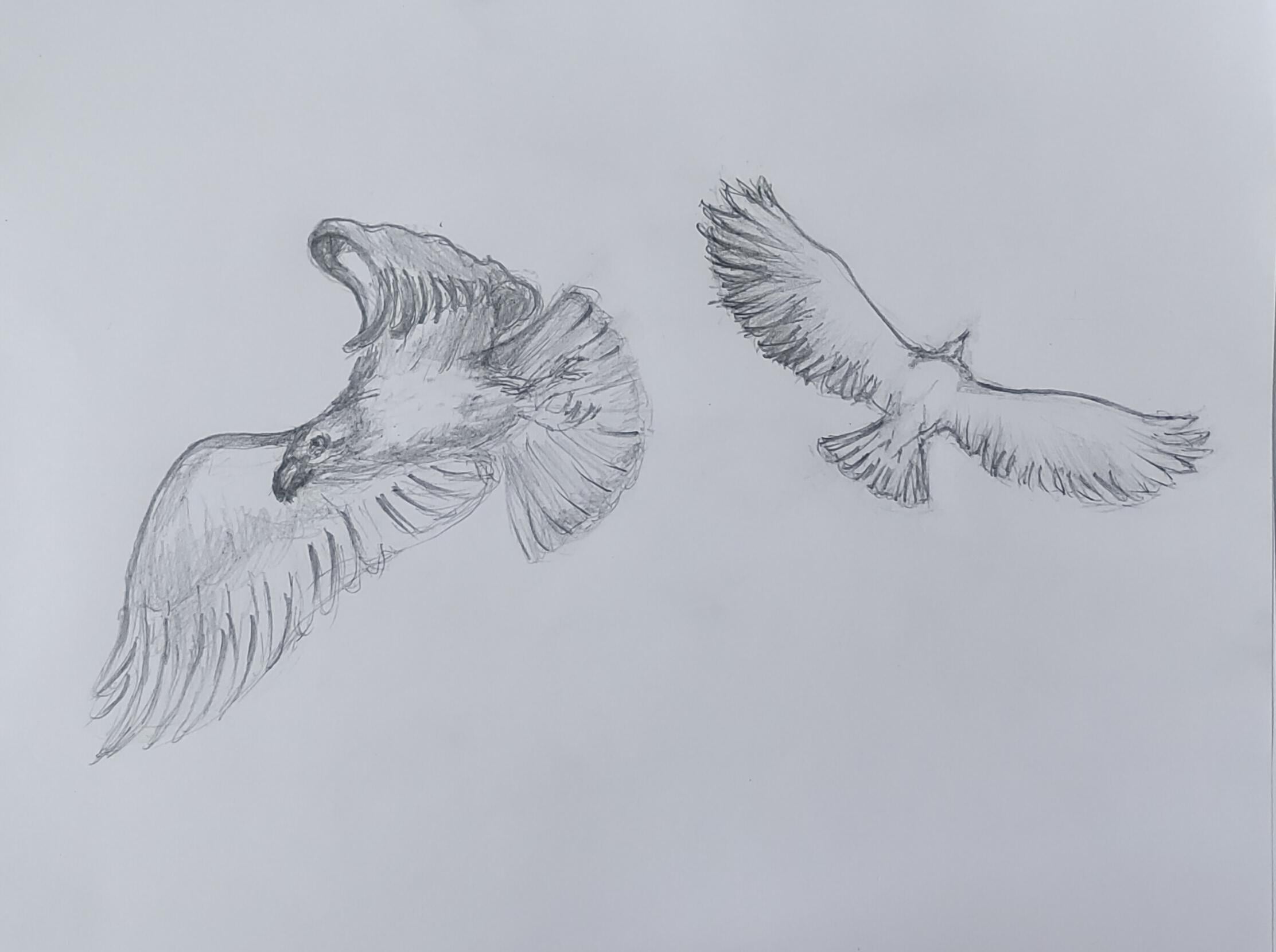 more-projects-from-class-img