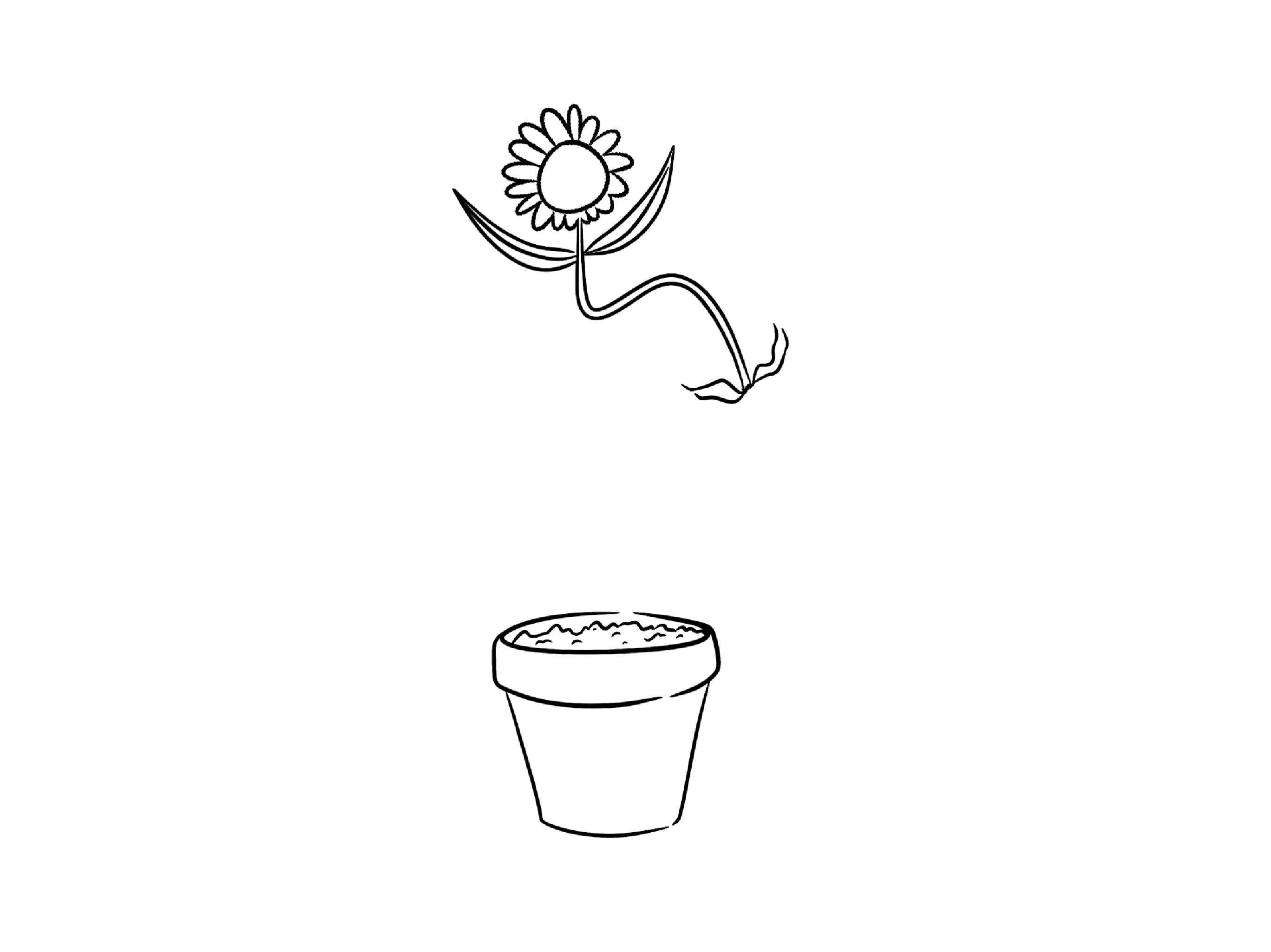 Pendulum Swing, Bouncing Ball and Jumping Flower (Character) Projects - student project