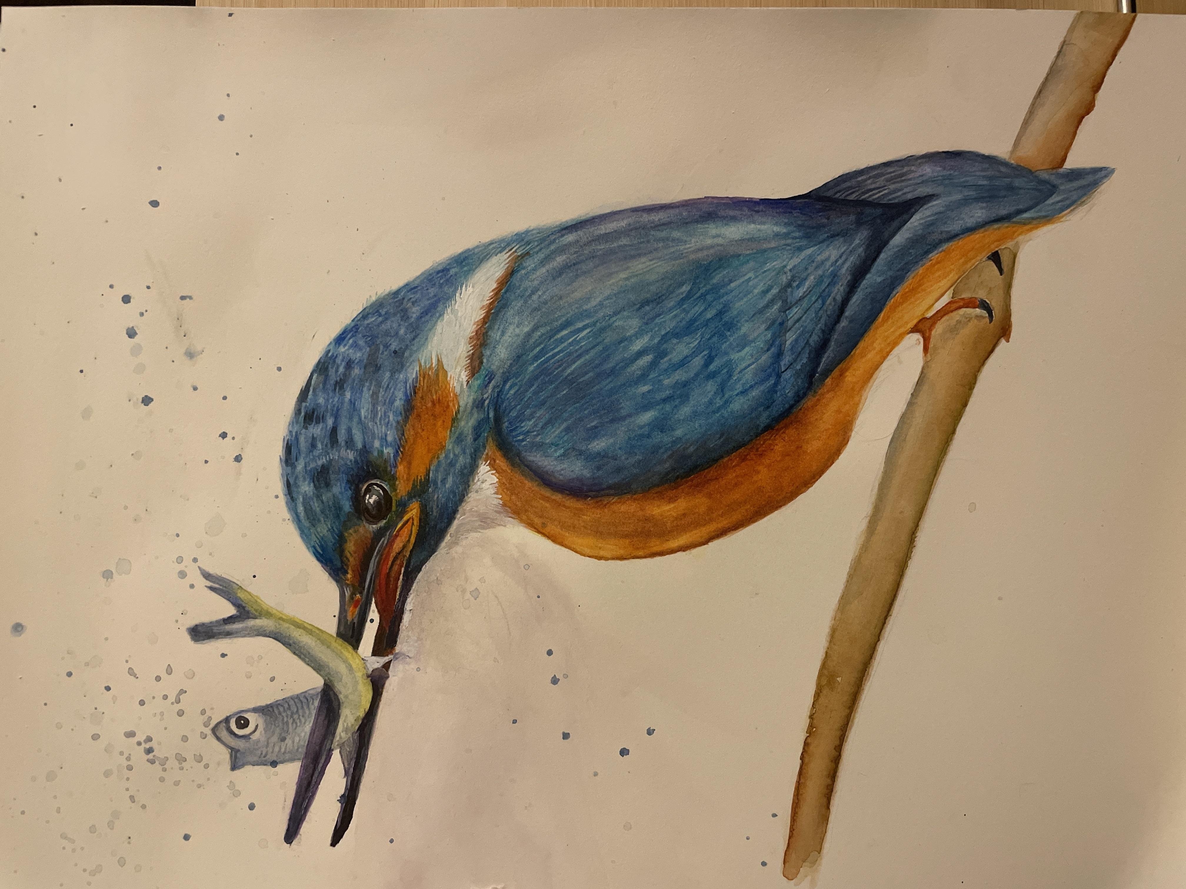 more-projects-from-class-img