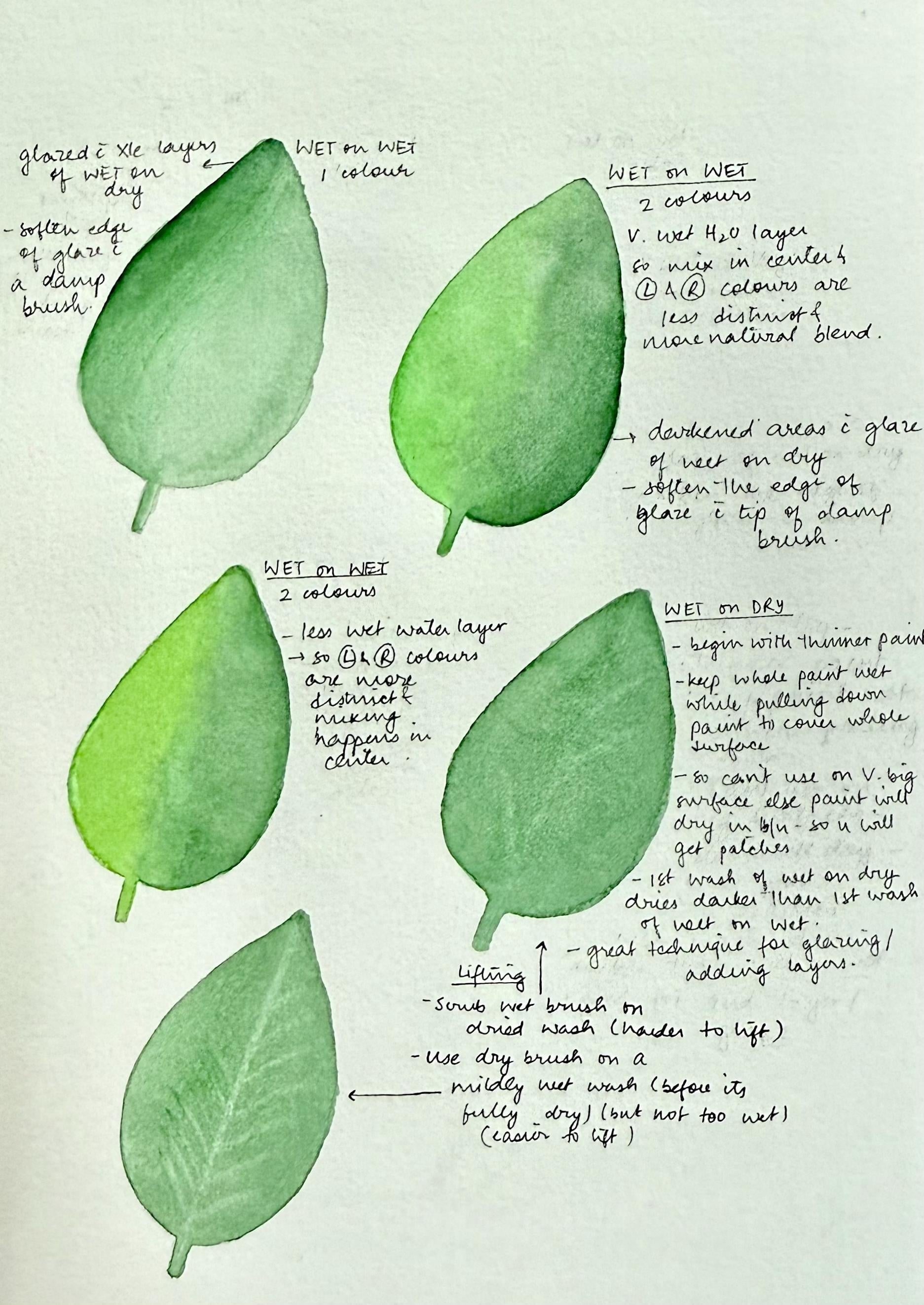 more-projects-from-class-img