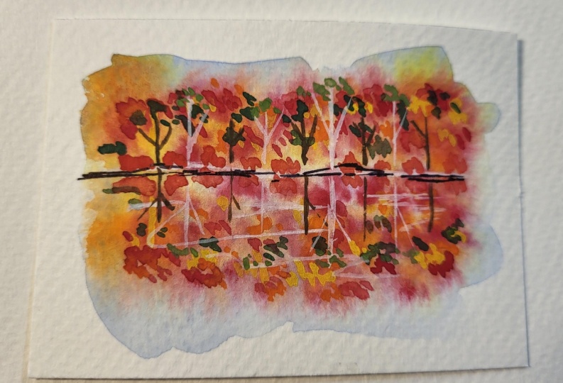Reflecting on Fall