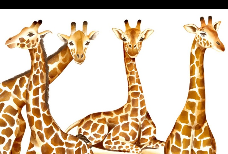 Illustrate Giraffes In Procreate