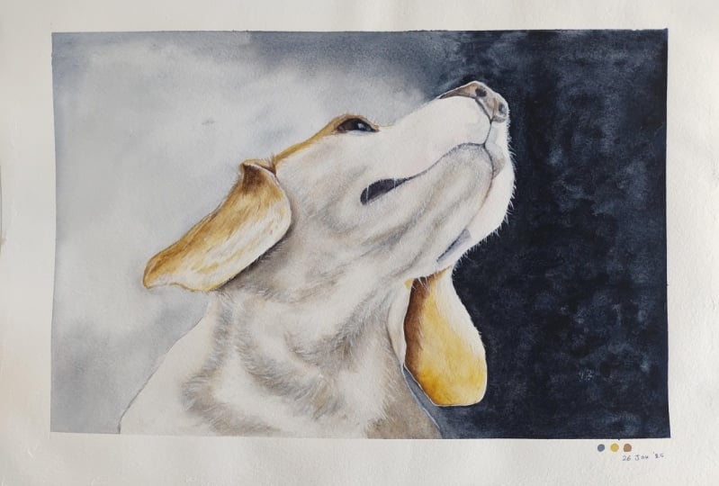 Lemon Beagle-a watercolour class with Mary Evelyn Tucker