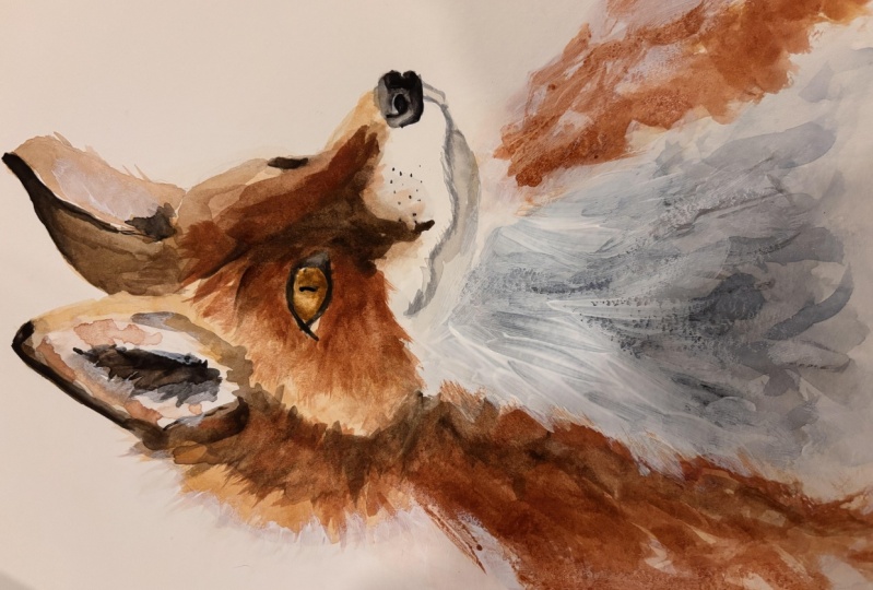 Lil Fox